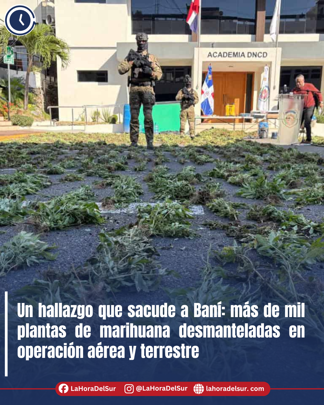 Un hallazgo que sacude a Baní: más de mil plantas de marihuana desmanteladas en operación aérea y terrestre