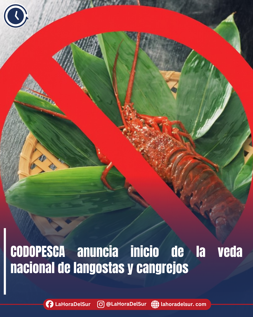 CODOPESCA anuncia inicio de la veda nacional de langostas y cangrejos