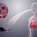 La OMS alerta sobre el hantavirus: prevención, síntomas y cuidados esenciales