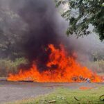 Inacif destruye más de 960 kilogramos de distintas drogas