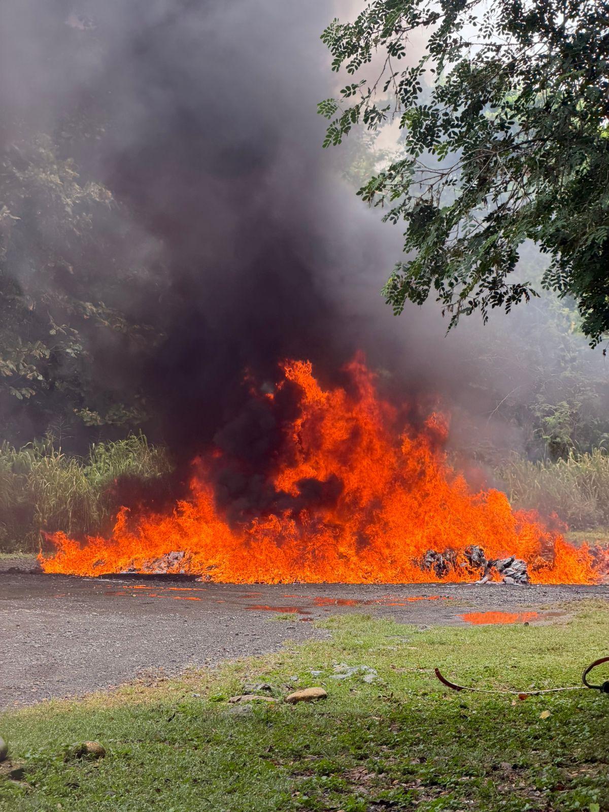 Inacif destruye más de 960 kilogramos de distintas drogas