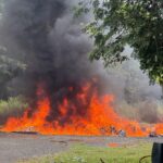 El Inacif destruye más de 3 toneladas de drogas