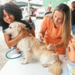 Carolina continúa impulsando jornadas de bienestar animal; durante operativo se esterilizaron 100 perros y gatos
