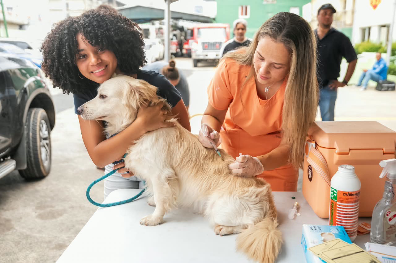 Carolina continúa impulsando jornadas de bienestar animal; durante operativo se esterilizaron 100 perros y gatos