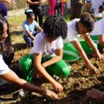 Escuelas que cultivan: Educación reconocerá buenas prácticas en huertos escolares