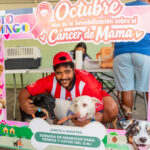 Alcaldía del Distrito Nacional esteriliza 107 perros y gatos en jornada de bienestar animal&nbsp;
